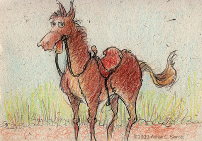 If you ask me, Mr. Ed made more sense than most of our politicians.