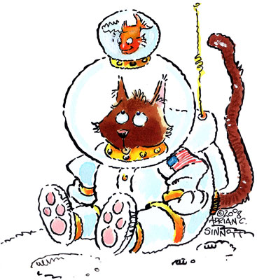 SpaceCat Just like life.