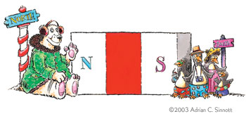 The North and South poles of a magnet with a Polar Bear in a parka at the North and Penguins in swimsuits at the South.